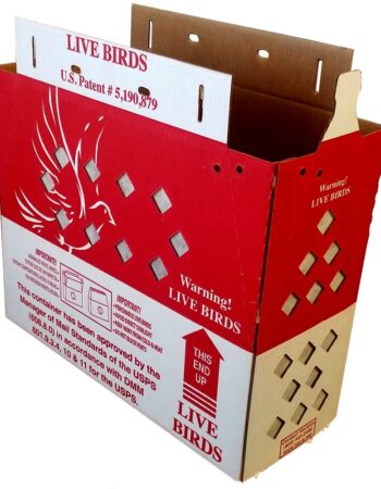 live-bird-shipping-box-open-2